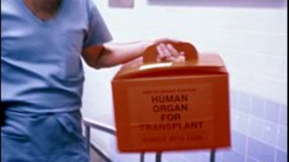 Ati primi un organ de la un ucigas?