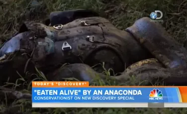 Ce s-a întâmplat cu naturalistul care s-a lăsat înghiţit de viu de un anaconda? (VIDEO)