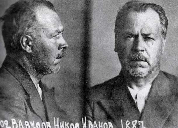 Nikolai Vavilov: savantul care a murit de foame pentru a salva omenirea