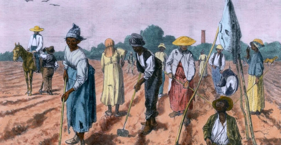 Un mare explorator ar fi putut avea sclavi negri. Abolirea sclaviei în SUA s-a întâmplat cu mai puţin timp în urmă decât te-ai aştepta