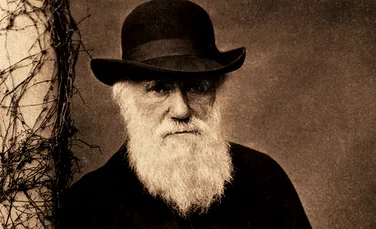 Darwin nu a afirmat că omul se trage din maimuţă. Cine ar fi strămoşul oamenilor?