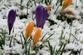 Cum va fi vremea la final de iarnă și început de primăvara? Prognoza ANM