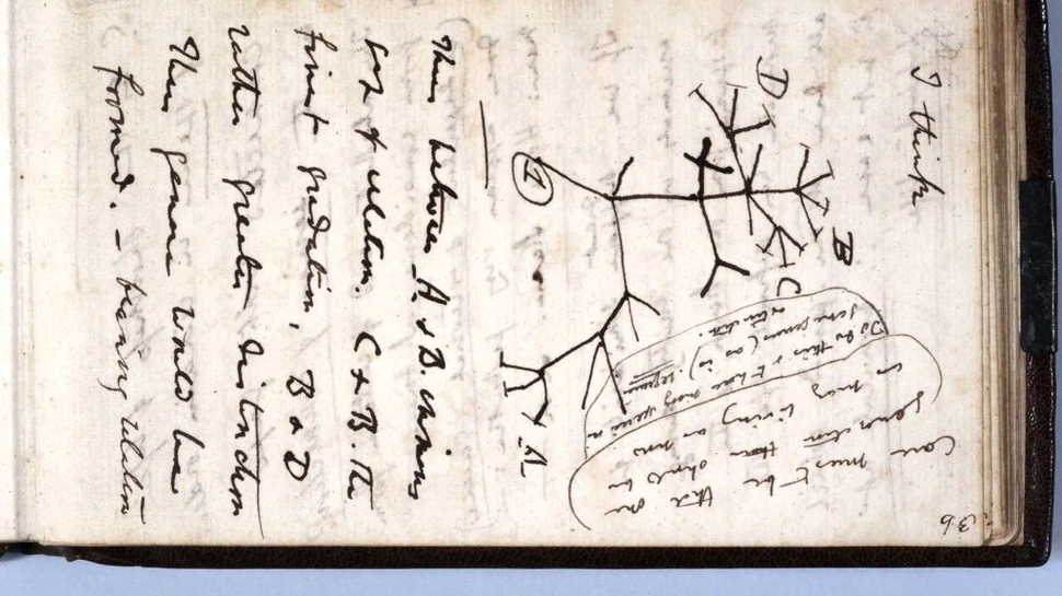 Caietele lui Charles Darwin, furate din Biblioteca Universității Cambridge, au fost în sfârșit returnate