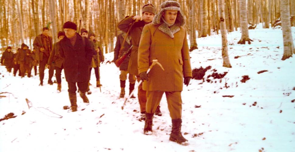 De ce a vrut Ceaușescu să încrucișeze urșii din Alaska cu cei din Munții Carpați?