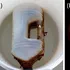 Un crab a supraviețuit într-o sticlă de plastic pe mare timp de două luni