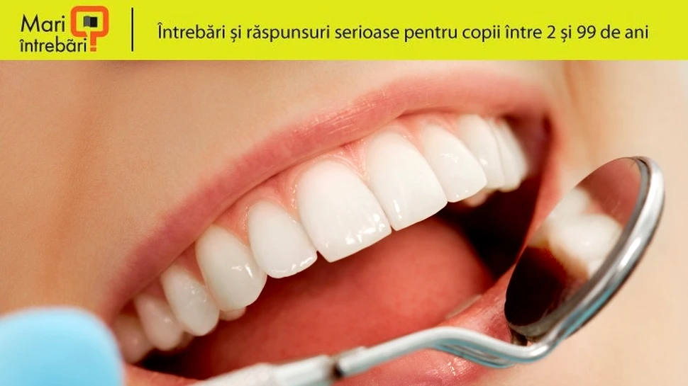 De ce avem două seturi de dinţi