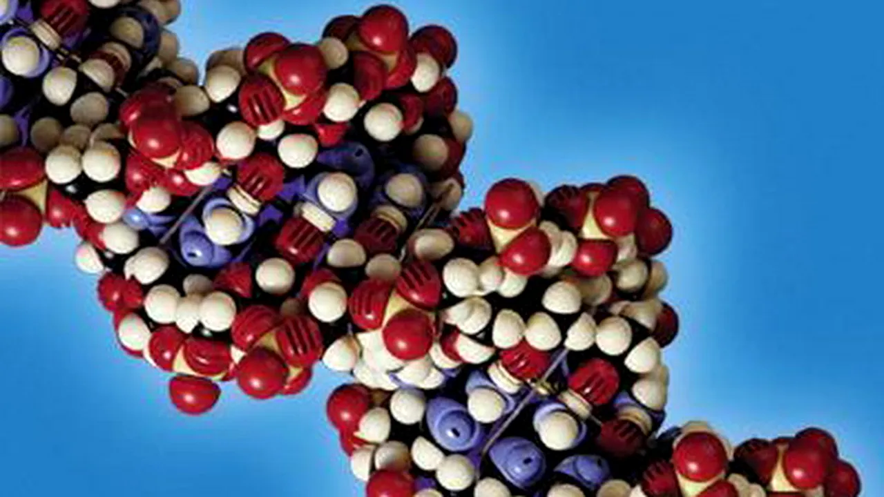 1-adn 