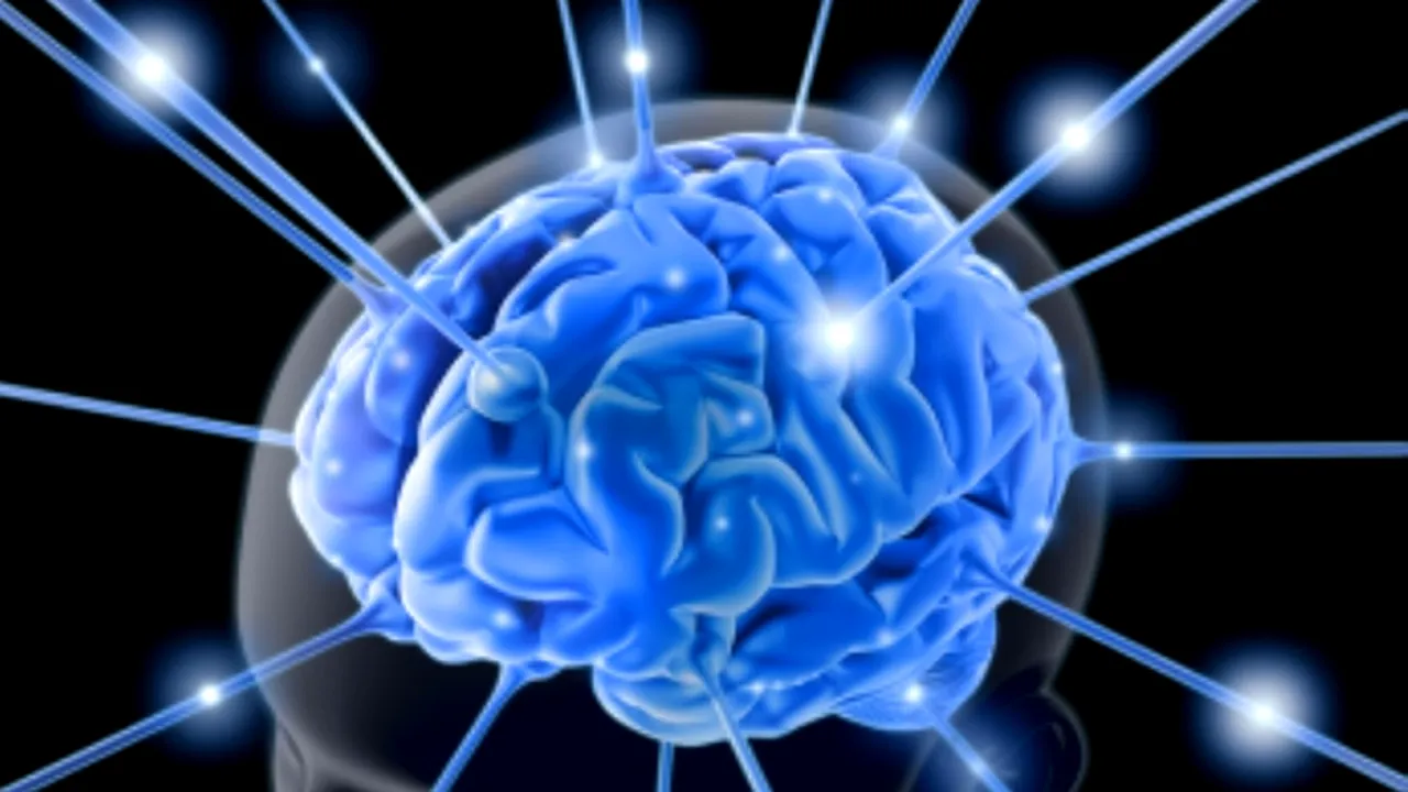 1-brain-763982 