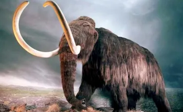 Ultimul mamut lanos avea gene nord-americane