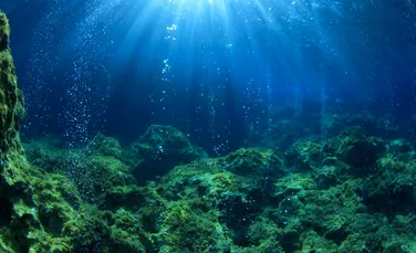 Un sunet misterios din adâncul oceanului a fost în sfârșit explicat