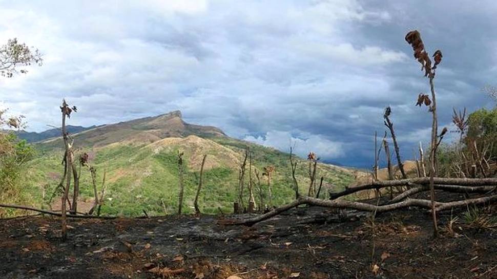 Pământul se pregăteşte de a 6-a extincţie în masă