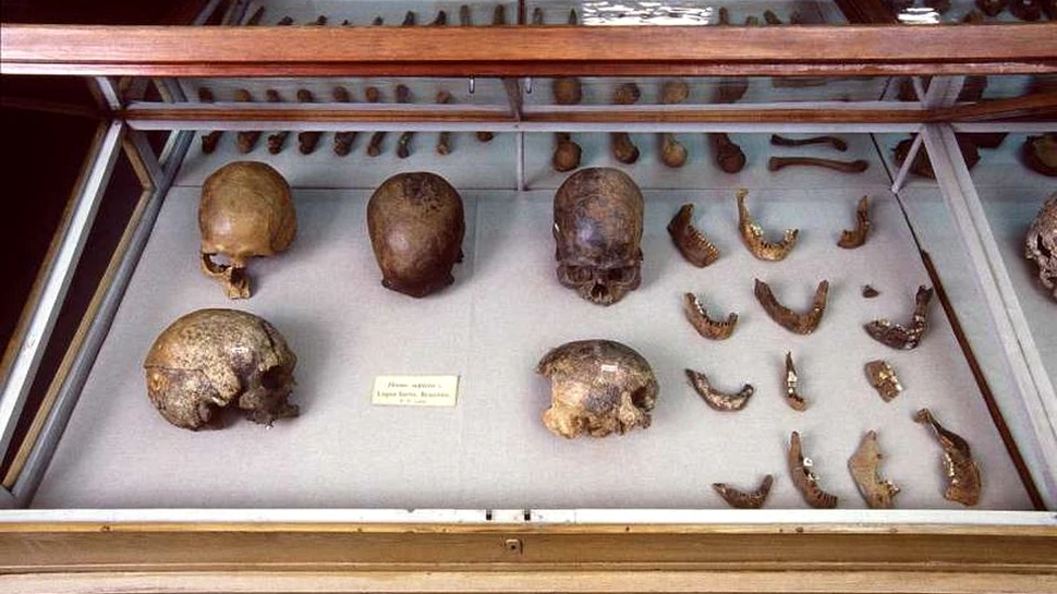 ADN-ul celei mai vechi mumii, conservate natural, dezvăluie secretele triburilor din America