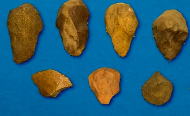 Cele mai vechi unelte din piatră au fost făcute de un strămoș asemănător cu o maimuță acum 3,3 milioane de ani