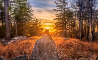 Tradiții și ritualuri pentru a sărbători solstițiul de iarnă