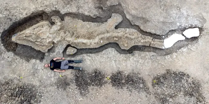 Fosila unui „dragon al mărilor”, găsită în Marea Britanie. Este o descoperire fără precedent