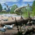 Un studiu a descoperit că păsările au trăit alături de dinozauri în Arctica