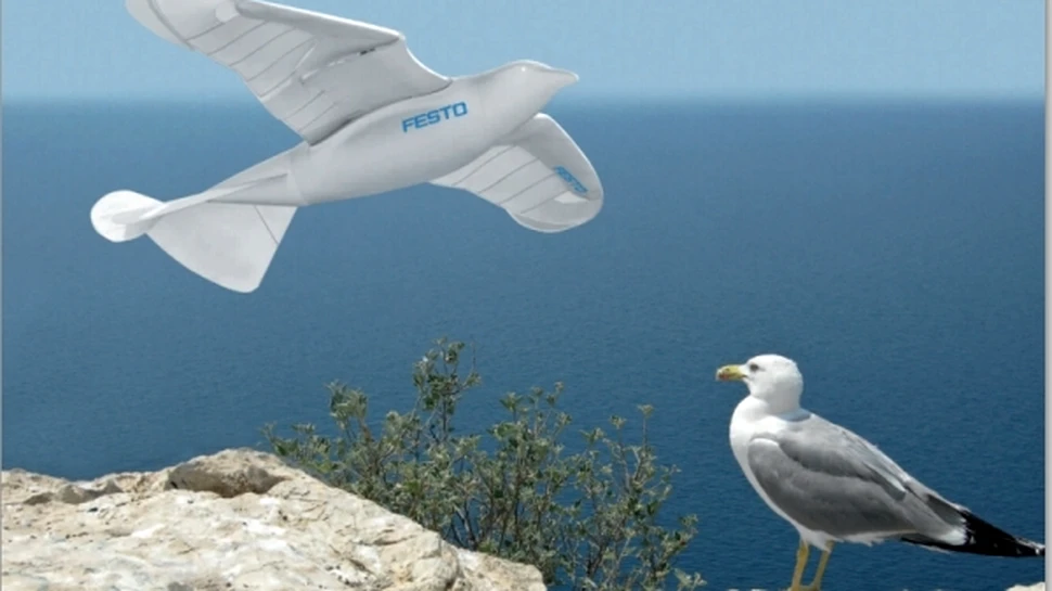 SmartBird este pasărea-robot ce păcăleşte pescăruşii prin realismul său! (VIDEO)