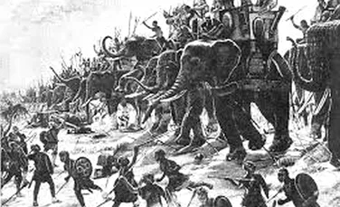 Porcii, animalele pe care romanii le foloseau pentru a înspăimânta elefanţii armatei inamice