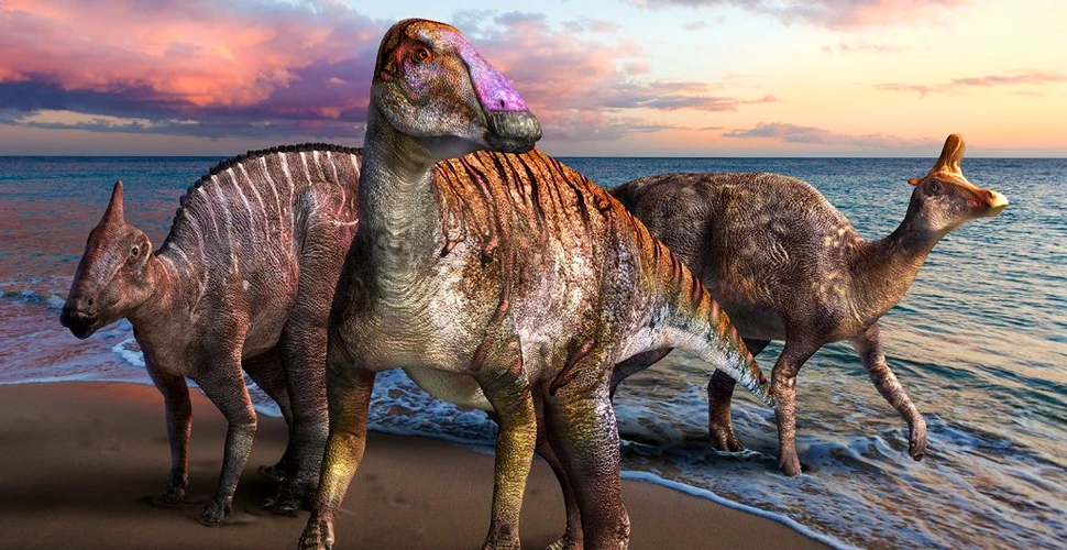 Un hadrozaur bizar cu dinți foarte ciudați a fost descoperit în Japonia