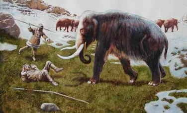 Mamutii au disparut inainte de aparitia sulitelor