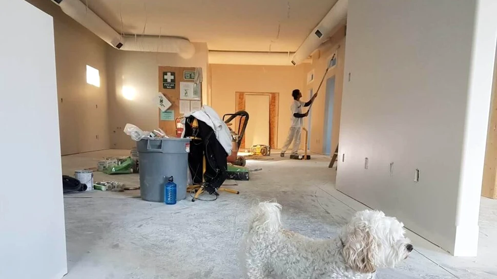 Ghidul complet al renovărilor rezidențiale  – transformă-ți casa într-un sanctuar modern (P)