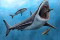 Noi cercetări arată că uriașul megalodon era „un ucigaș cu sânge cald”