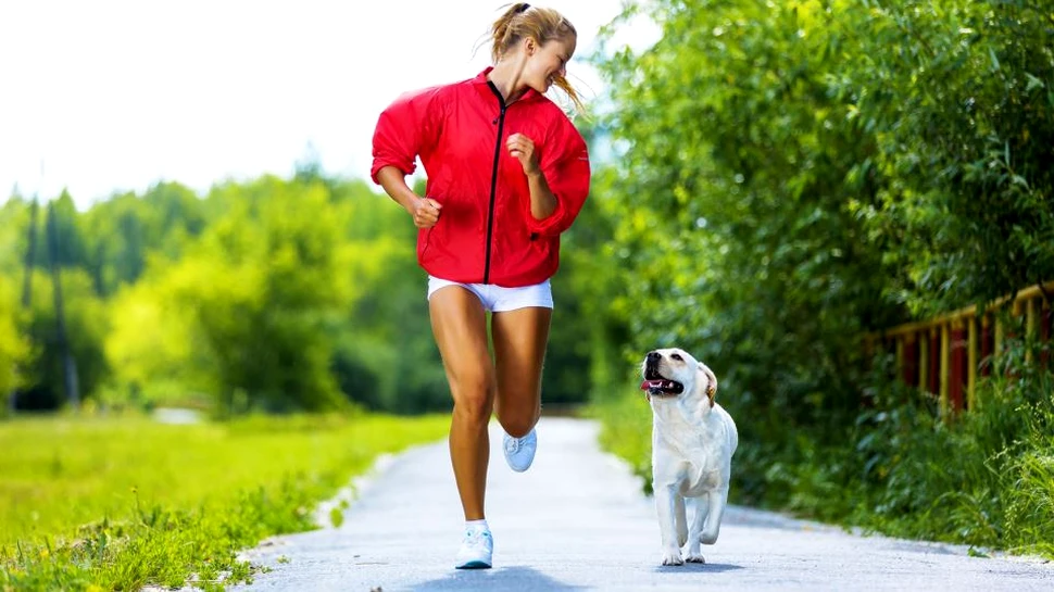 O căţeluşă din SUA care a dispărut fără urmă acum zece ani a fost într-un final reunită cu familia adoptivă