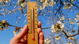 Test de cultură generală. Care sunt singurele țări care folosesc Fahrenheit?