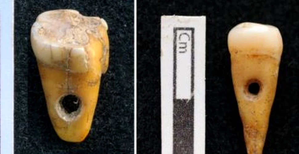 Dinţi umani folosiţi ca bijuterii preistorice, descoperiţi în Turcia