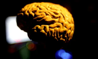 Creierul – secretul campionilor
