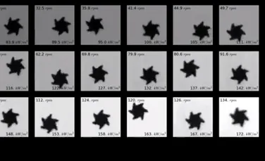 Cercetătorii italieni au creat un motor, a cărui dimensiune este mai redusă decât cea a unui fir de păr uman – FOTO+VIDEO