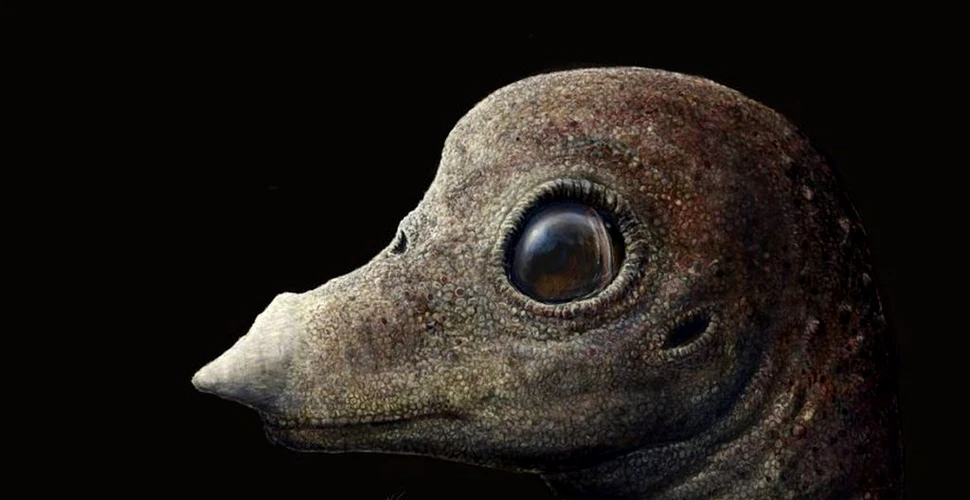 Embrionul fosilizat al unui dinozaur cu gât lung a dezvăluit câteva detalii neștiute până acum