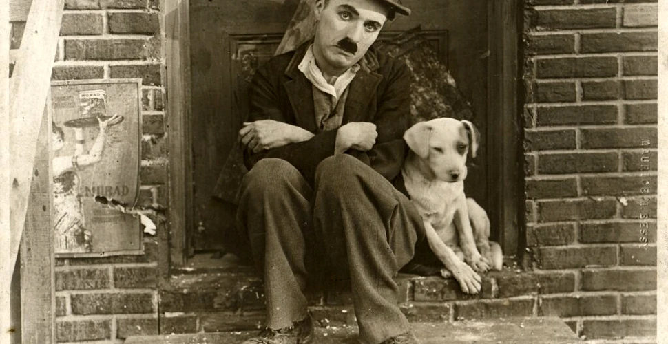 Charlie Chaplin, geniul comediei. „Să ne străduim să atingem imposibilul”