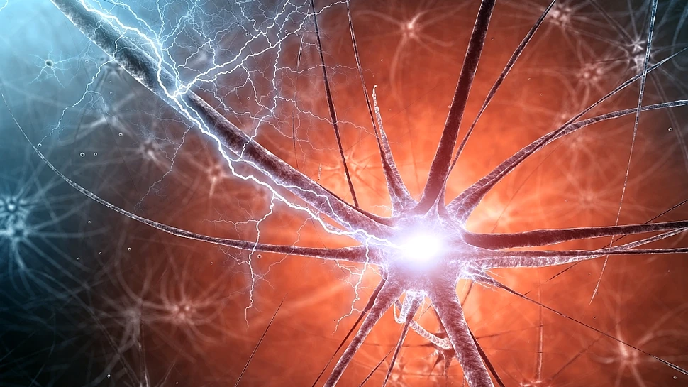 Cum poate fi reabilitat bolnavul cu probleme neurocognitive. Se poate începe cu muzică şi mirosuri cunoscute