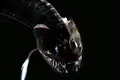 Oamenii de știință au descoperit creaturi la fel de întunecate ca „Vantablack”, în adâncurile oceanelor