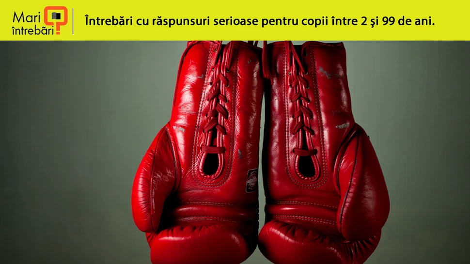 De ce boxerii folosesc mănuşi atunci când luptă?