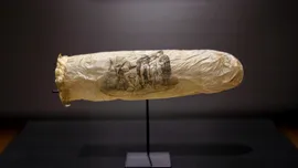 Ce au găsit cercetătorii într-un prezervativ vechi de 200 de ani, făcut din apendice de oaie?