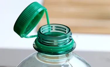 Greșeala pe care o fac mulți oameni fără să știe: cum poate deveni sticla de apă un focar de bacterii?