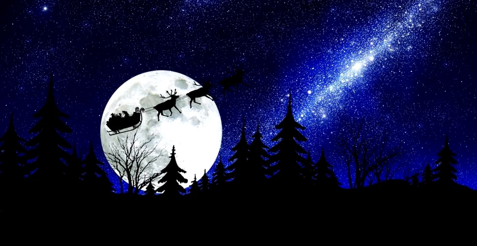 Ciupercile magice ar putea explica povestea lui Moş Crăciun şi a renilor zburători (VIDEO)