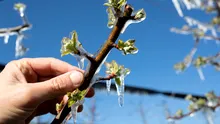 Meteorologii anunță că vremea se răcește din nou