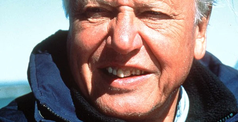 Sir David Attenborough: Suprapopularea e sursa  tuturor problemelor de mediu