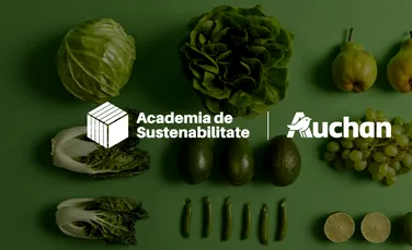 Academia de Sustenabilitate, în parteneriat cu Auchan România, lansează un nou curs de sustenabilitate în retail