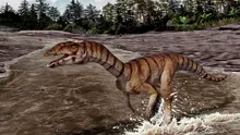 O specie bipedă și fără dinți este o rudă din Triasic a crocodilului