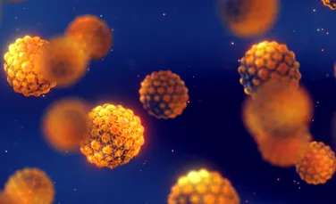 Oamenii de știință au descoperit o cauză virală a unuia dintre cele mai comune tipuri de cancer