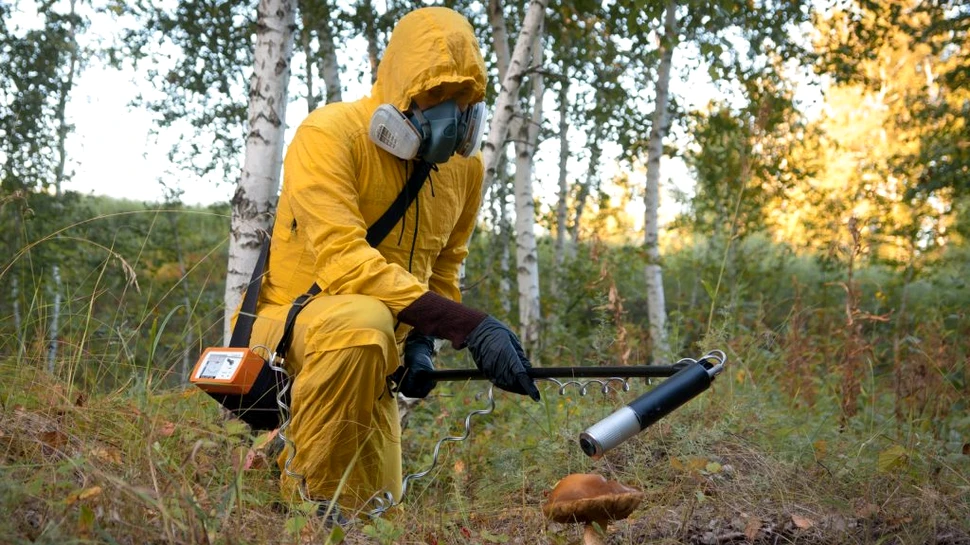 Ciupercile sălbatice din Germania încă mai prezintă urme ale contaminării de la Cernobîl