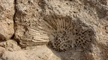 Descoperire incredibilă în timpul unei partide de pescuit! Ce au găsit membrii unei familii?