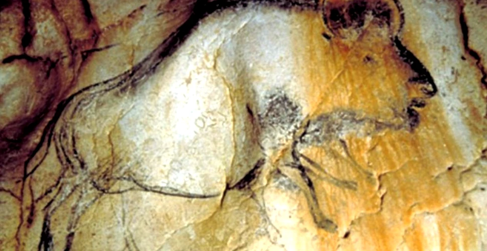De ce picturile rupestre reprezintă animale cu opt picioare? Doi specialişti dau o explicaţie absolut surprinzătoare (VIDEO)