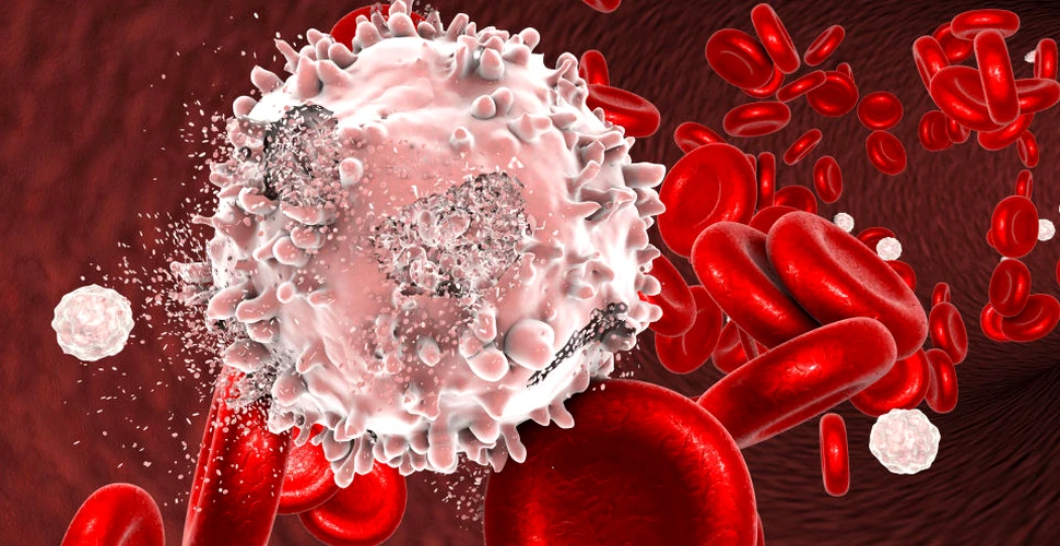 O nouă moleculă va reduce complicaţiile tratamentului cu celule stem în cazul cancerului de sânge