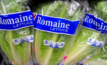 Comisia Europeană folosește Inteligența Artificială pentru a detecta alimente contaminate