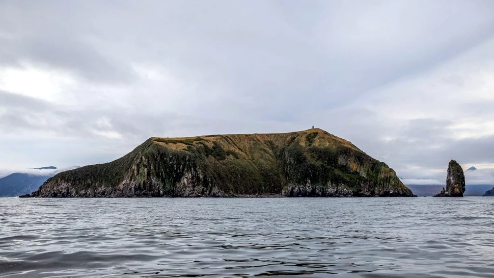 Dezastrul ecologic din Extremul Orient al Rusiei continuă. „Este un fenomen la scară mare, pe care știința încă nu l-a înțeles”
